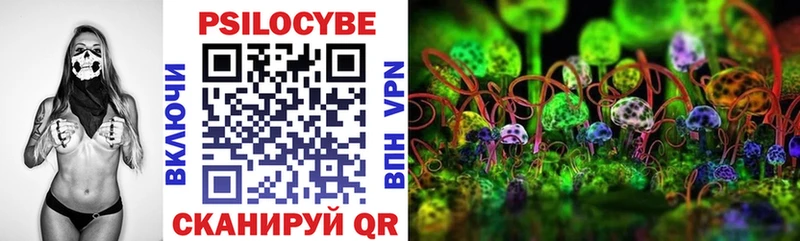 Купить где  Калтан  Галлюциногенные грибы прущие грибы 